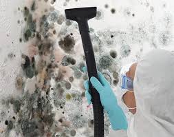 Best Mold Removal for HVAC Installations  in Canton, MO